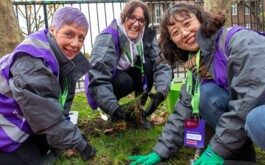 Community partners spring into action for bulb planting day